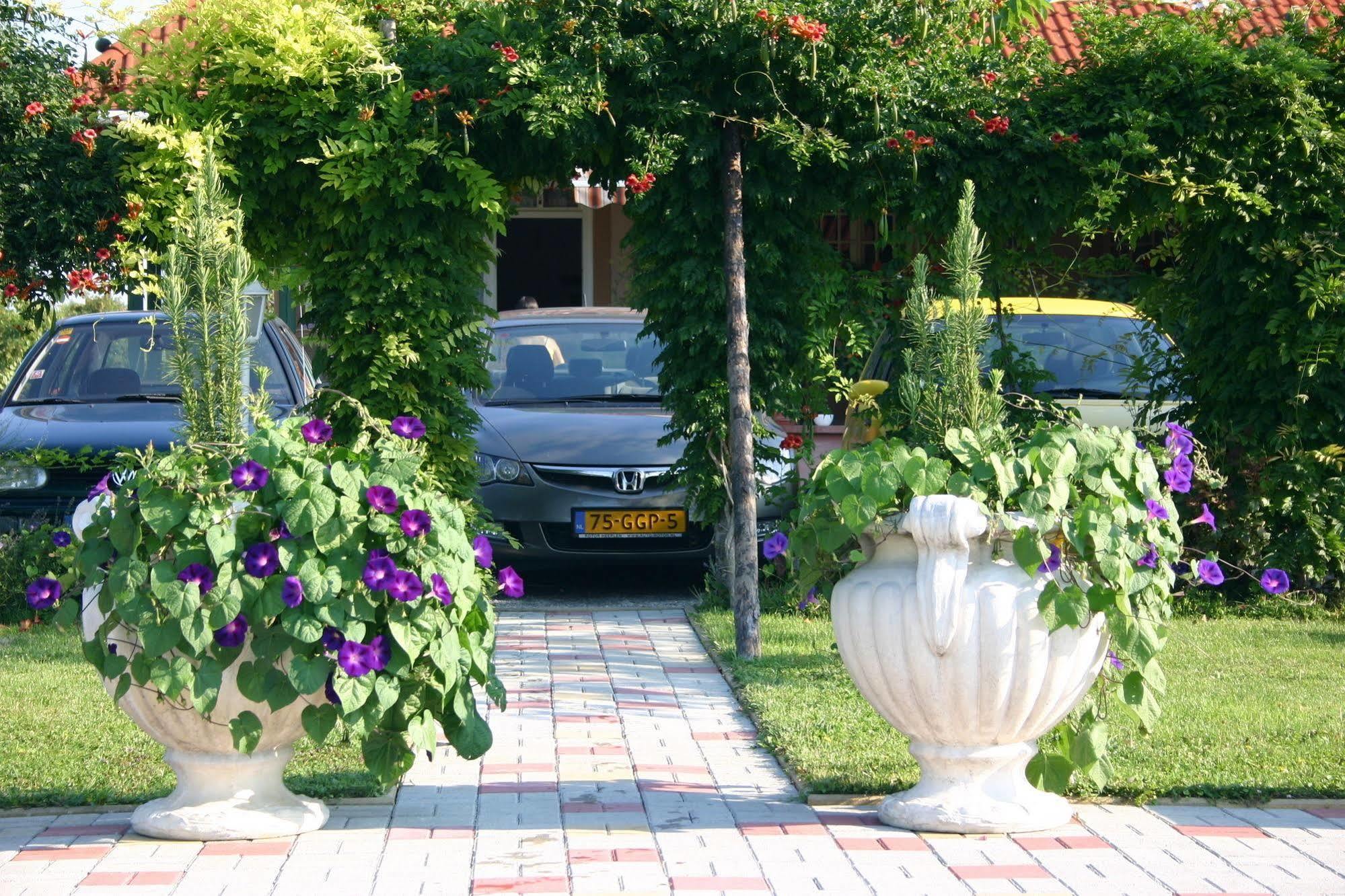 Lorelei Pension Adults Only Денешдиаш Экстерьер фото