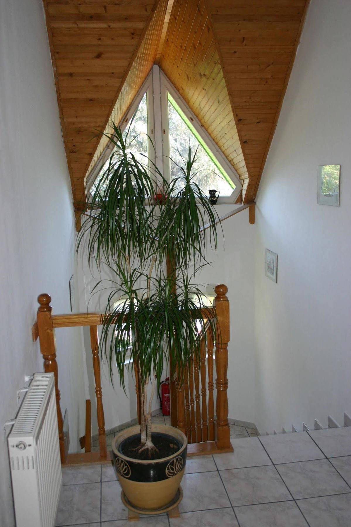 Lorelei Pension Adults Only Денешдиаш Экстерьер фото