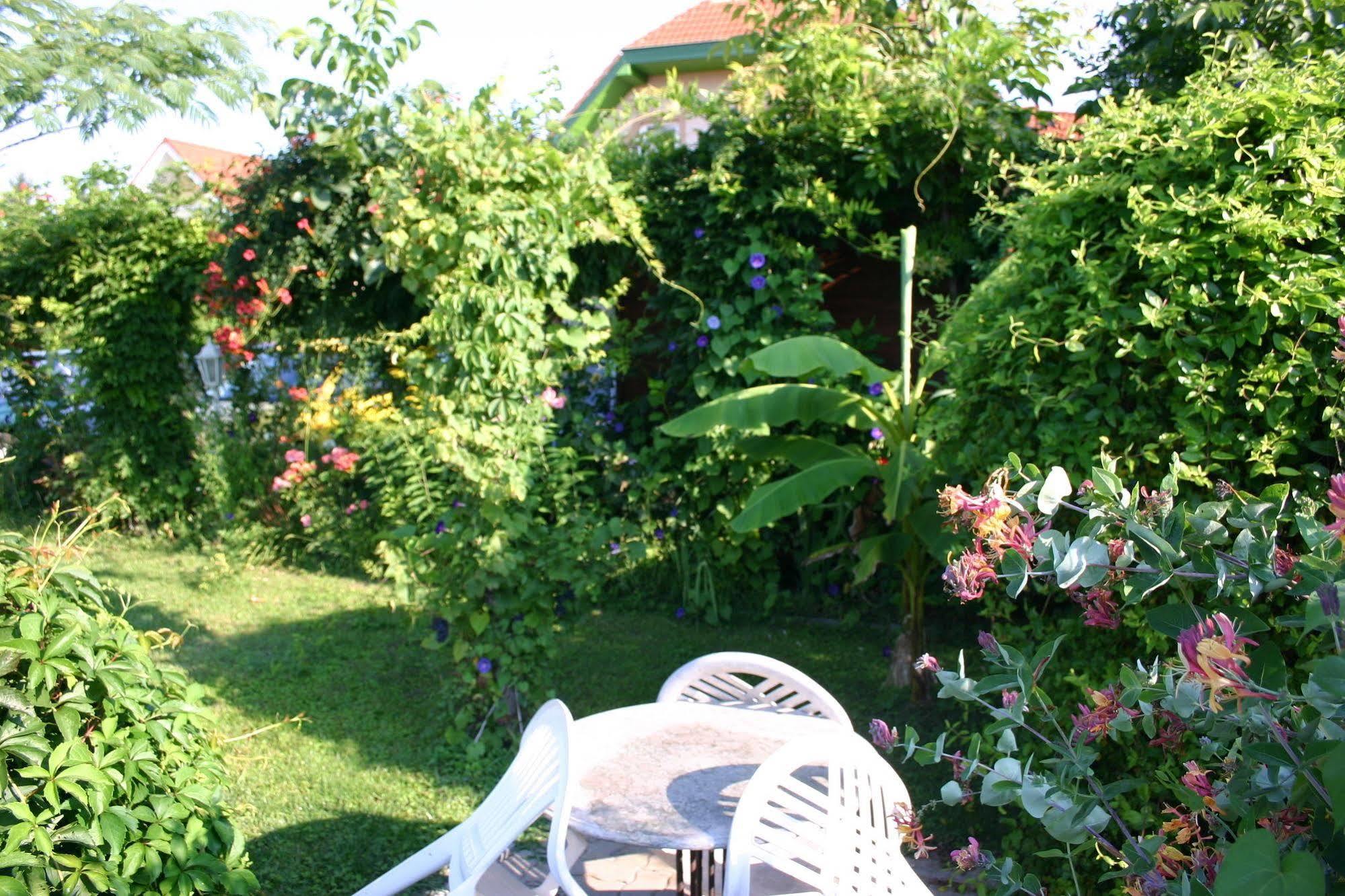 Lorelei Pension Adults Only Денешдиаш Экстерьер фото
